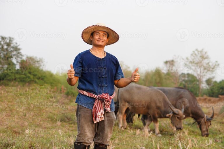 handsome-asian-man-farmer-wears-hat-blue-shirt-thumbs-up-stands-at-animal-farm-concept-livestock-thai-farmers-raise-and-take-care-buffalos-as-economic-and-export-animals-photo