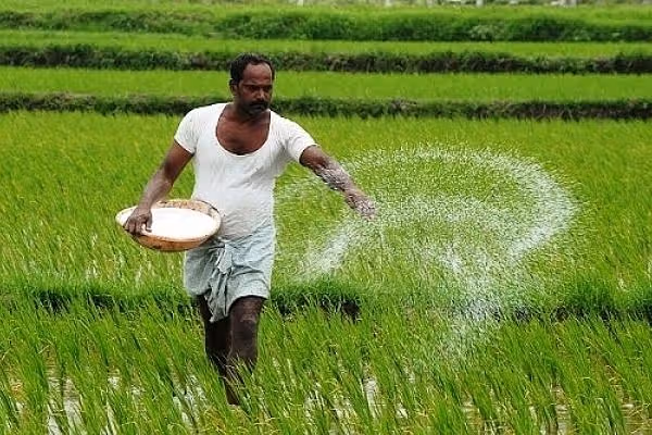 sowing