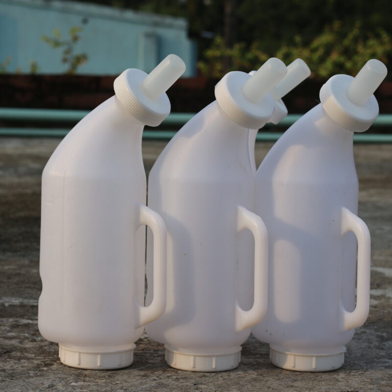 Cow Calf Milking Feeder