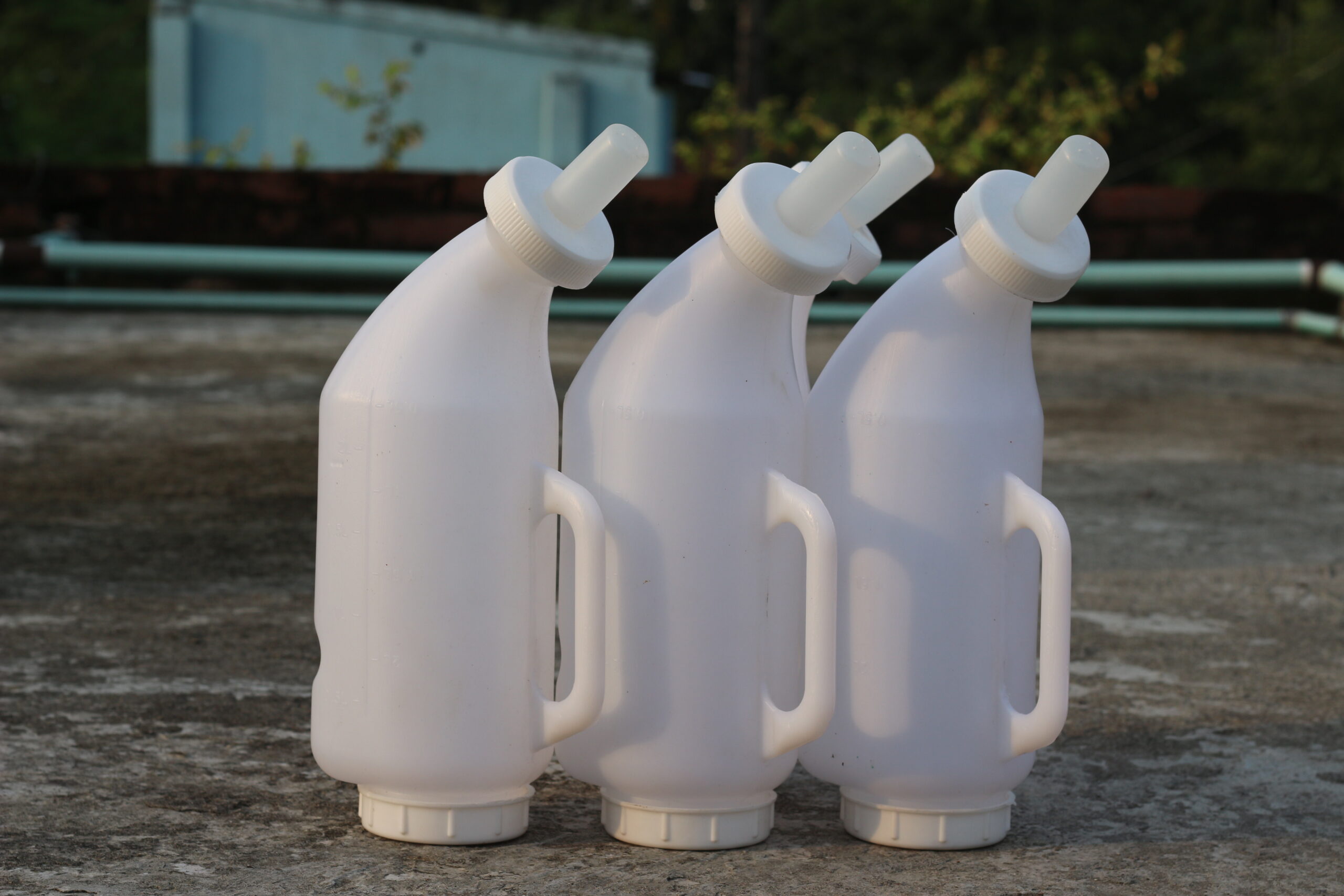 Cow Calf Milking Feeder