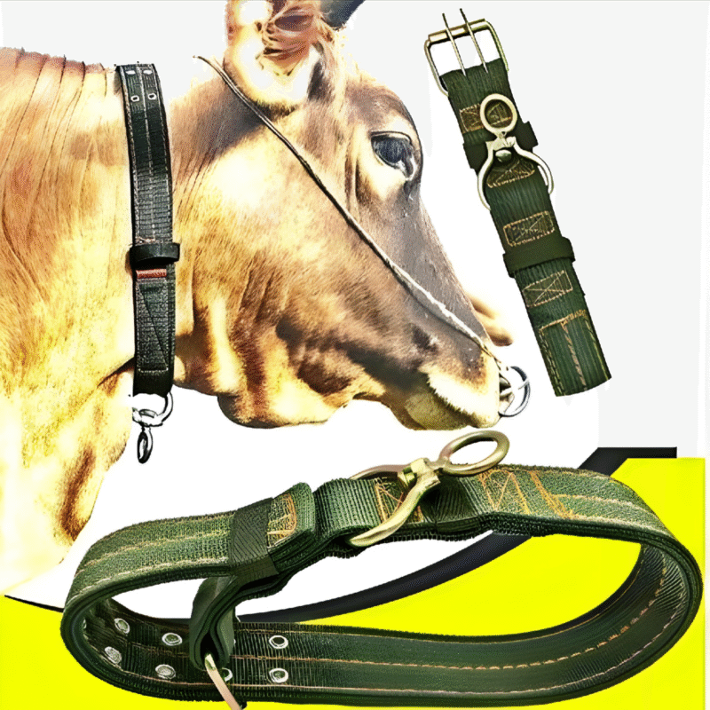 গরুর গলার বেল্ট/হাল্টার