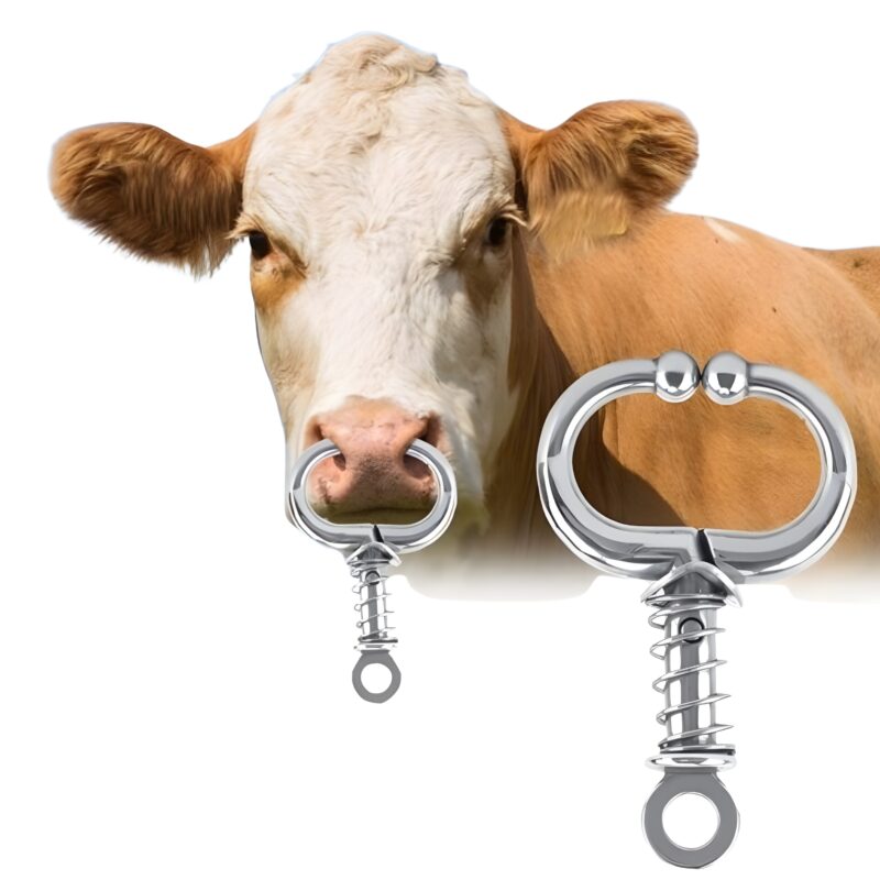 স্টেইনলেস স্টিল নোজ রিং